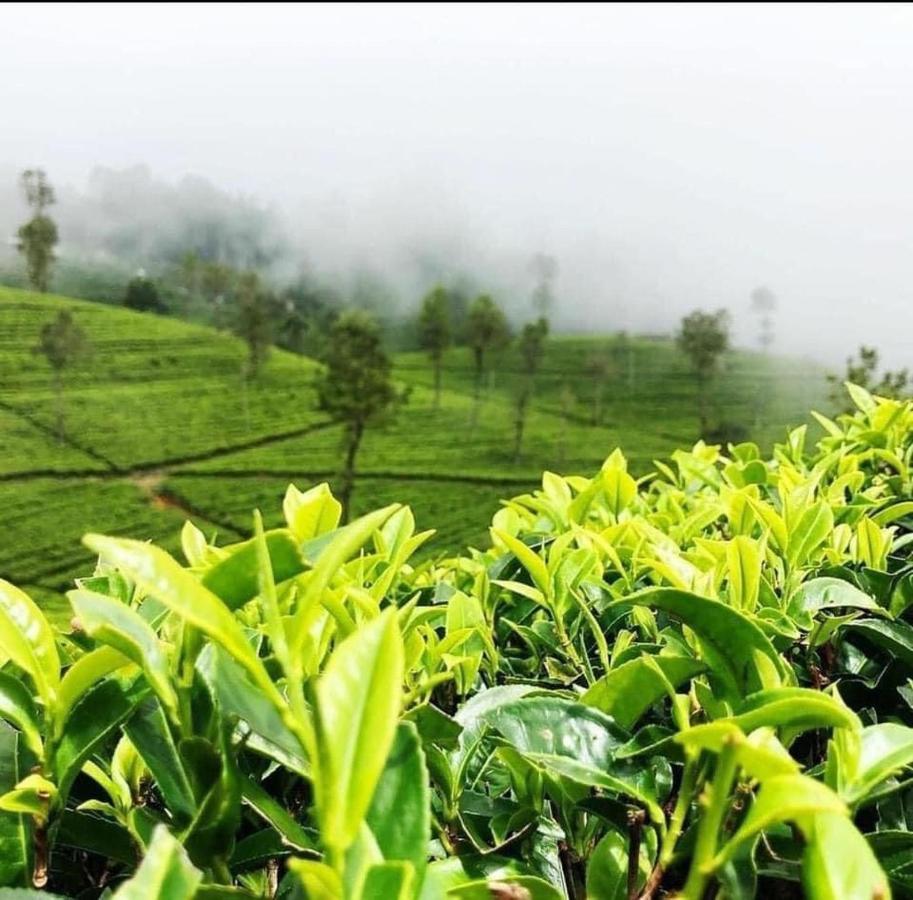 The Paul Woods Hotel Nuwara Eliya Exterior photo