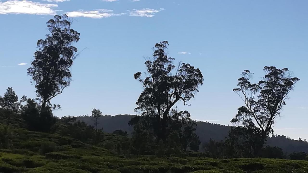 The Paul Woods Hotel Nuwara Eliya Exterior photo